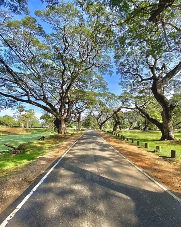 Anuradhapura gallery 3