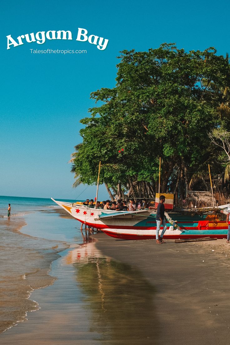 Arugam Bay gallery 3