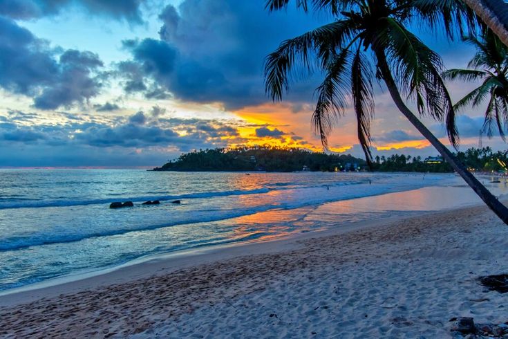 Arugam Bay gallery 6