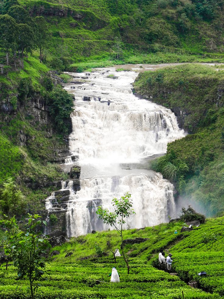 Nuwara Eliya gallery 4