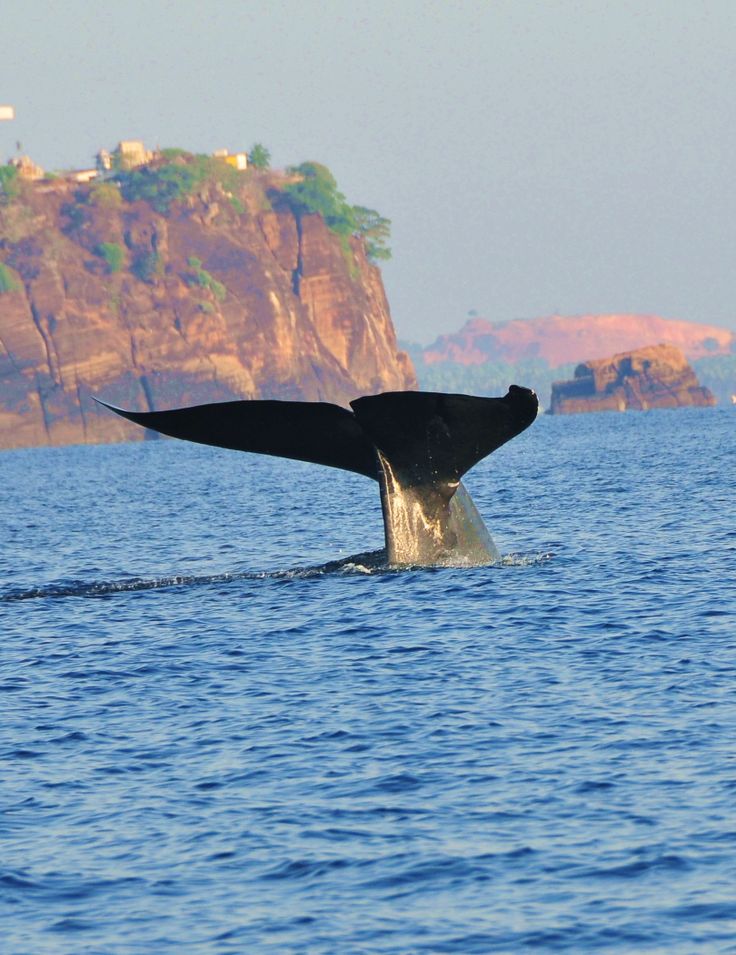Trincomalee gallery 5