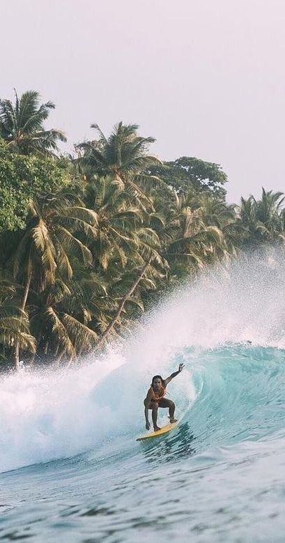 Tropical Paradise