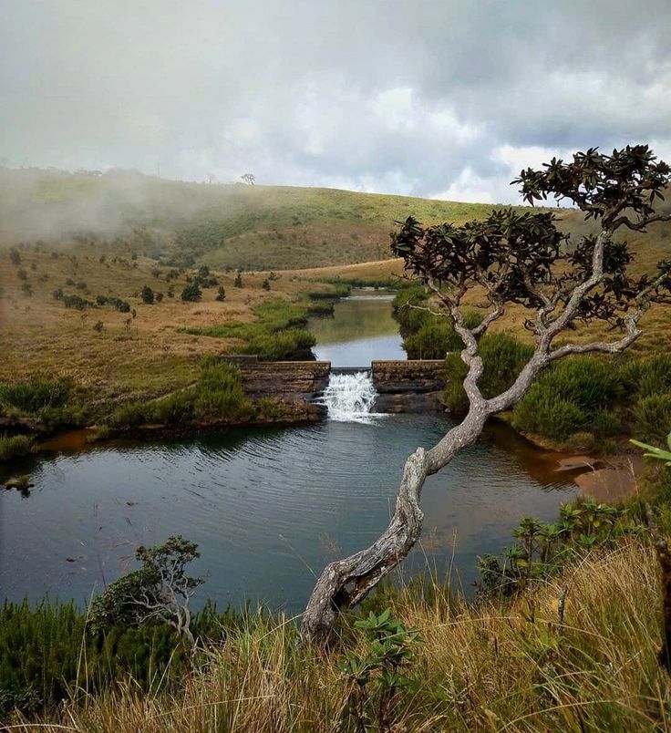 Horton Plains gallery 3