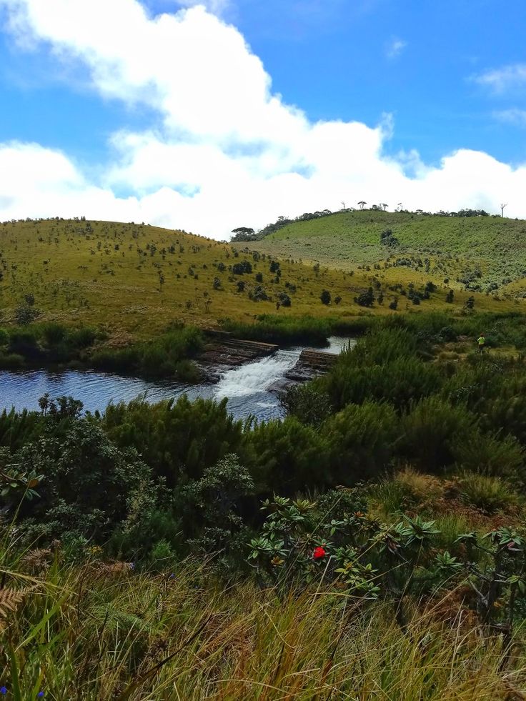 Horton Plains gallery 4