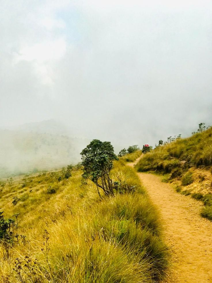 Horton Plains gallery 5