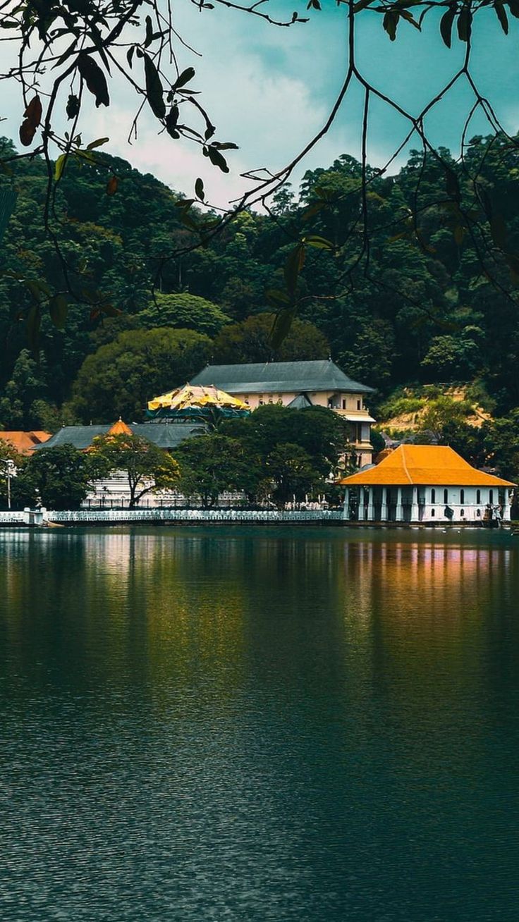 Kandy gallery 2
