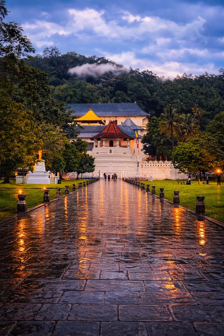 Kandy gallery 3