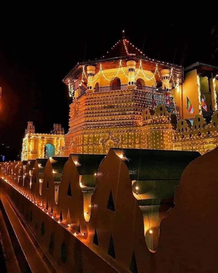 Kandy gallery 5
