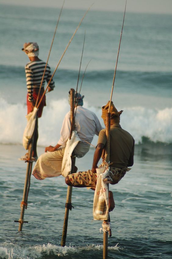 Negombo gallery 3