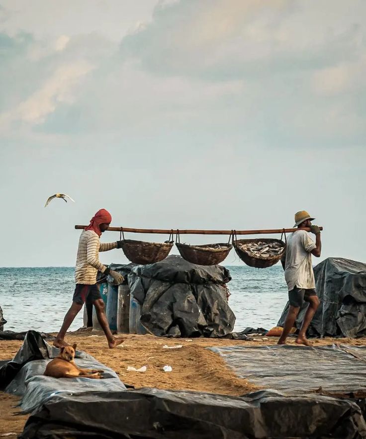 Negombo gallery 4