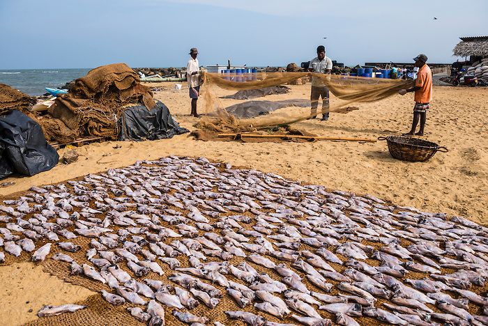 Negombo gallery 6