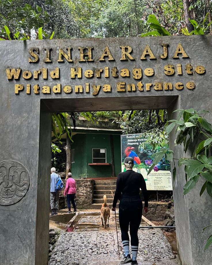 Sinharaja